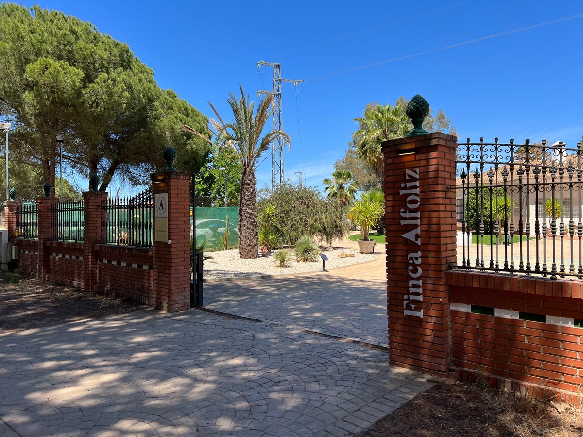 #FincaAlfoliz <a href="/GrupoXe/">GrupoXE</a> (@ Finca Alfoliz in Huelva, Andalucía) swarmapp.com/c/gQV3JVvNSPv