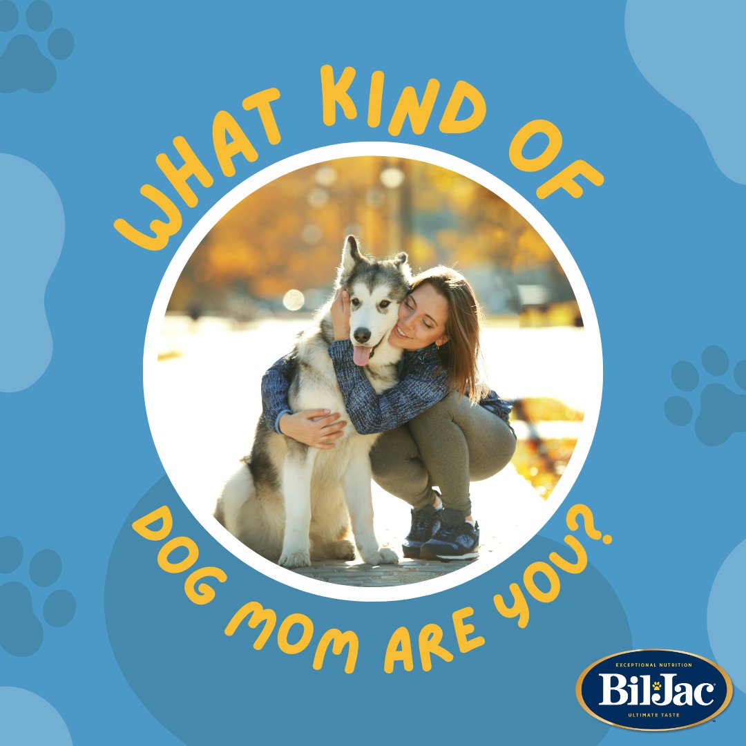 Take our quiz to find out what kind of dog mom you are! No matter what your style is, thank you for keeping your fur babies safe, well fed, and happy - 365 days a year!

bit.ly/2yrss9h