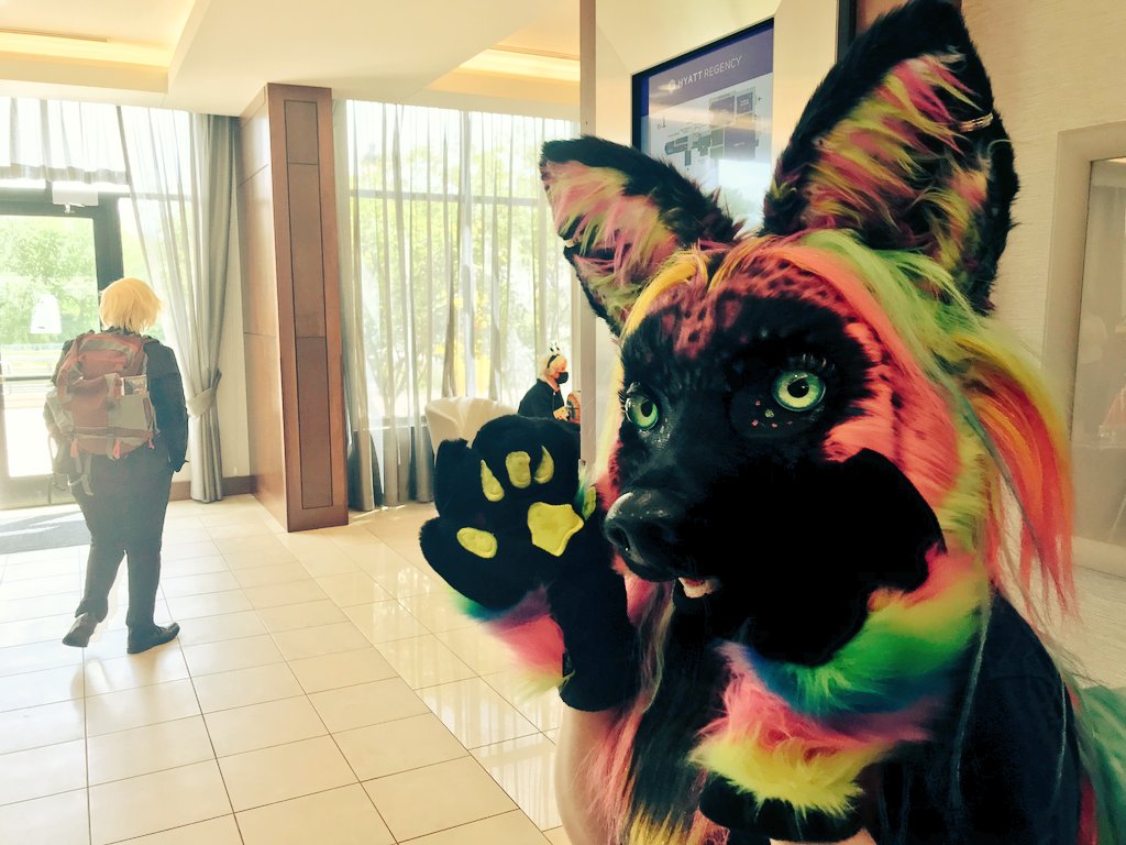 FoxxyNeon's tweet photo. Well hi there, it's been a while! #fursuit #fursuiter #furry https://t.co/luZuh4gA7H