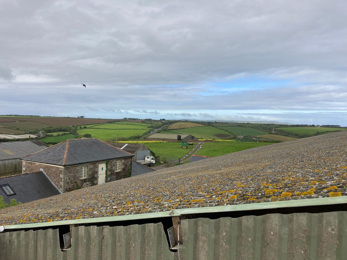 McArthur_Agri's tweet image. A grain drier with a view, assembly work well on in Cornwall. #install #continuousflow