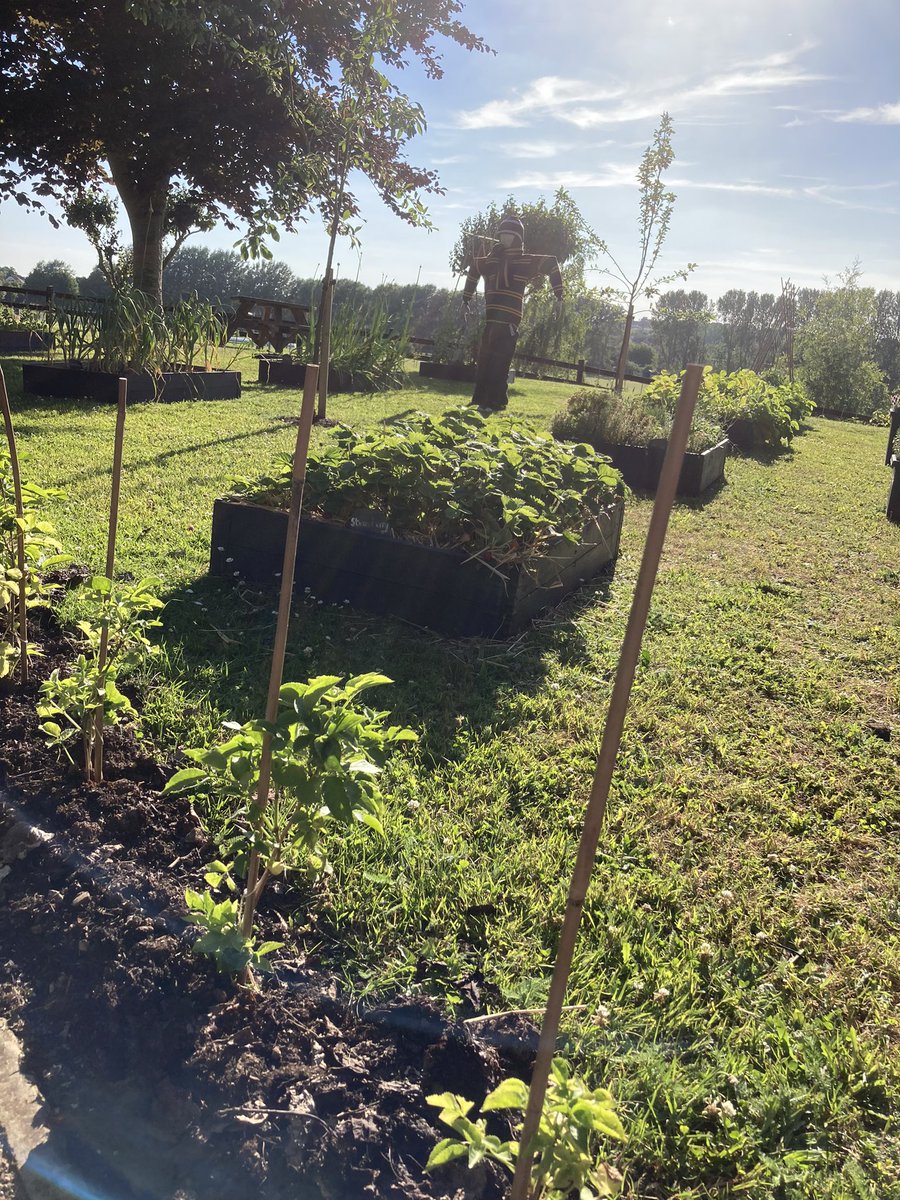 QueensCollFood's tweet photo. Proud to announce @QueensTaunton pupils are now in @RotaryGBI Young Environmentalist National Finals protecting nature 🤝🌿growing food in school and restoring biodiversity. Thanks @TauntonRotary making it through local and regionals.
Behind Taunton’s @DeborahMeaden #fairtonature https://t.co/yXSKI7l7kV