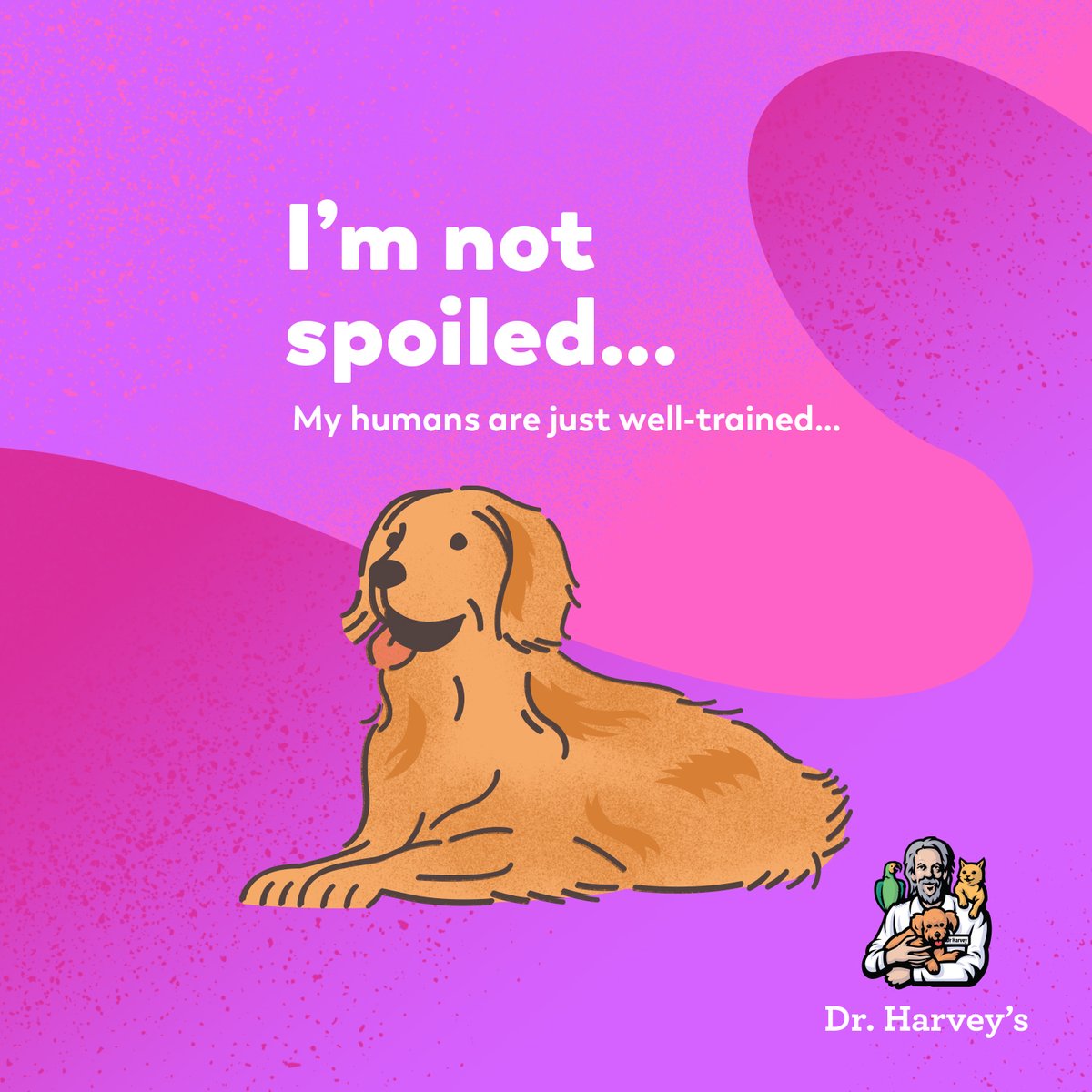 drharvey's tweet image. If feeding them fresh, homemade meals is spoiling them, we&apos;re guilty 😂 But don&apos;t they deserve it? #deepdogthoughts #drharveysdogs #dogmemes #spoileddog #pamperedpup#healthydogfood #homemadedogfood