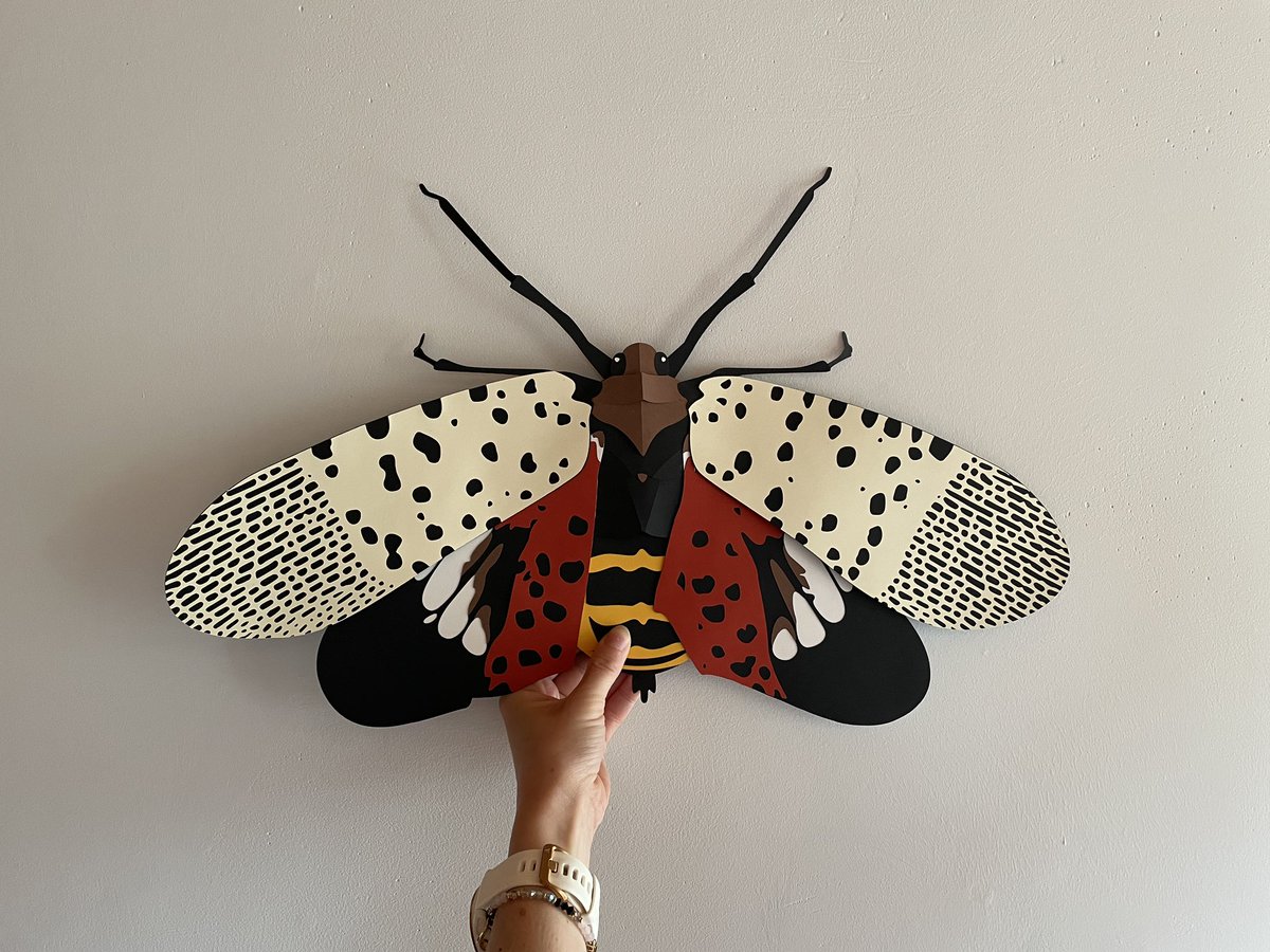 Maura Losch tweet media