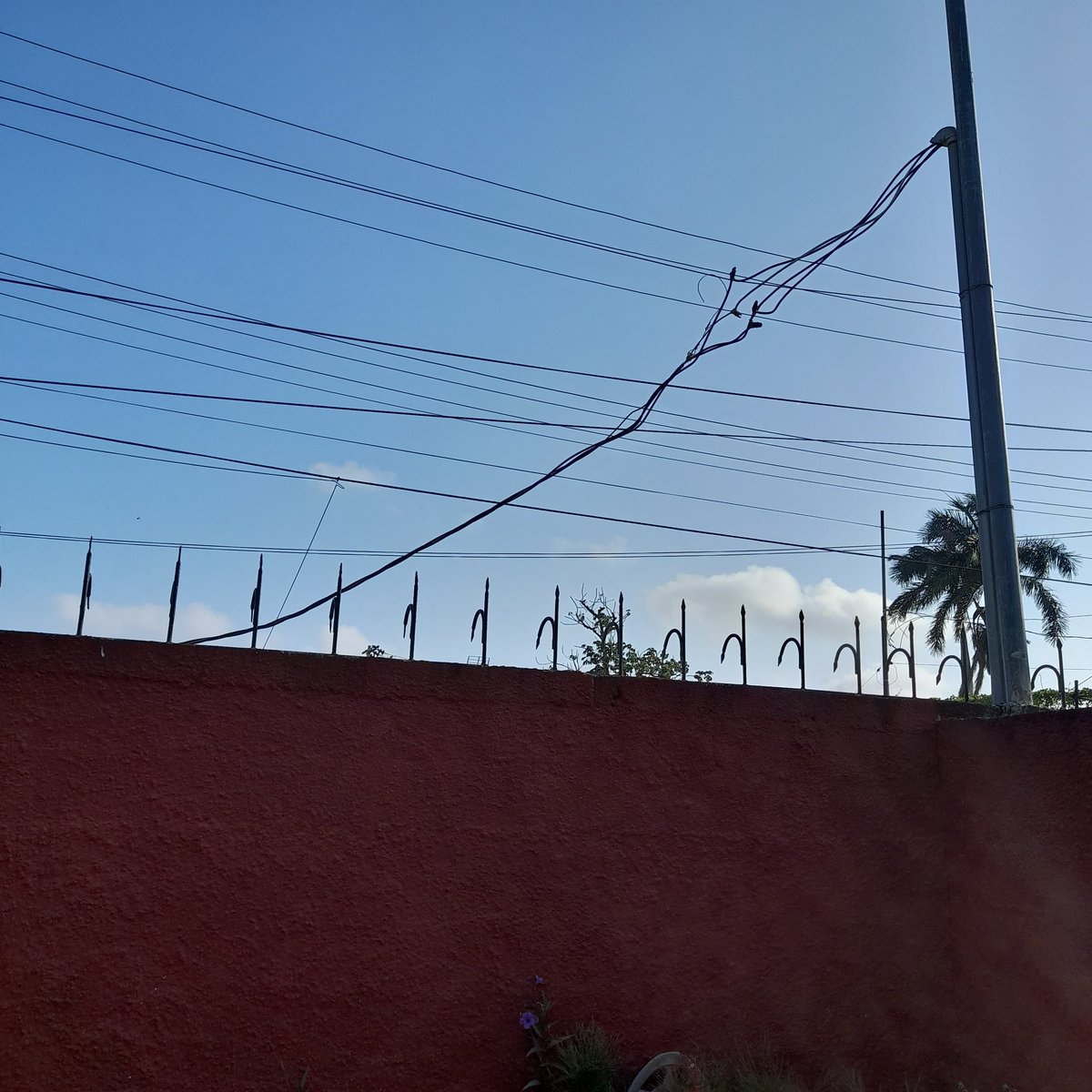 JenUnder's tweet photo. @CFEmx mi vecinos cable de Luz no bueno. Merida, calle 25 Colonia chichen https://t.co/JgRStEkCKa