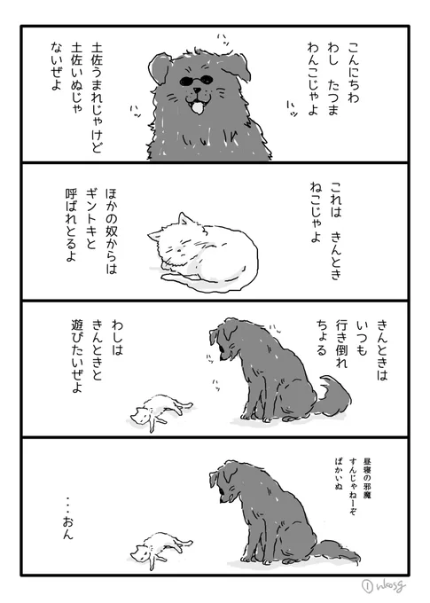 skgn)獣化パロ漫画です(全5ページ)
過去の個人誌から引っ張り出してきたやつです坂銀はいいぞ! 