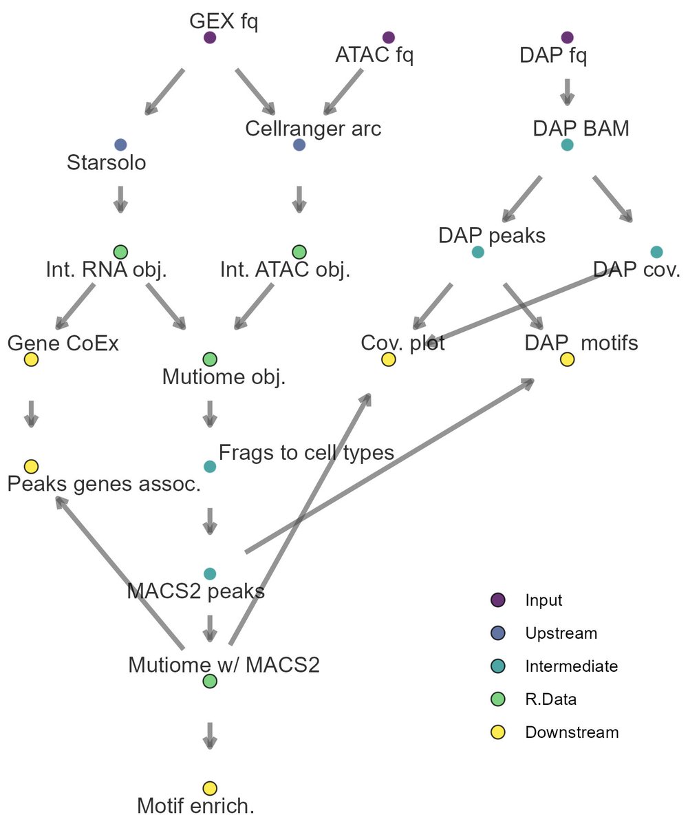 I have a GitHub tutorial for using igraph and ggraph functions for visualizing pathways, but it also works for flowcharts: github.com/cxli233/ggpath… 

Example: