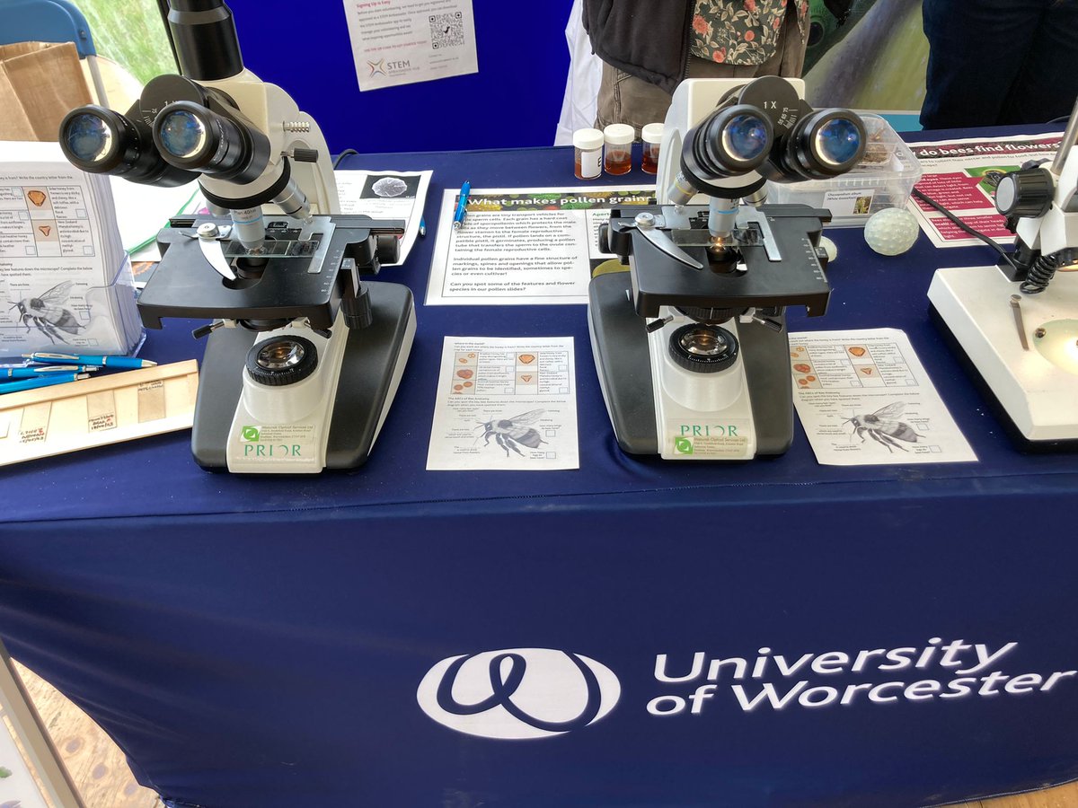 Come and join @worcester_uni scientists in the Discovery Dome at @MalvernShows this weekend and learn about bees and pollen. 🐝🐝🐝🌸🌺🌼 #bees #Zoology