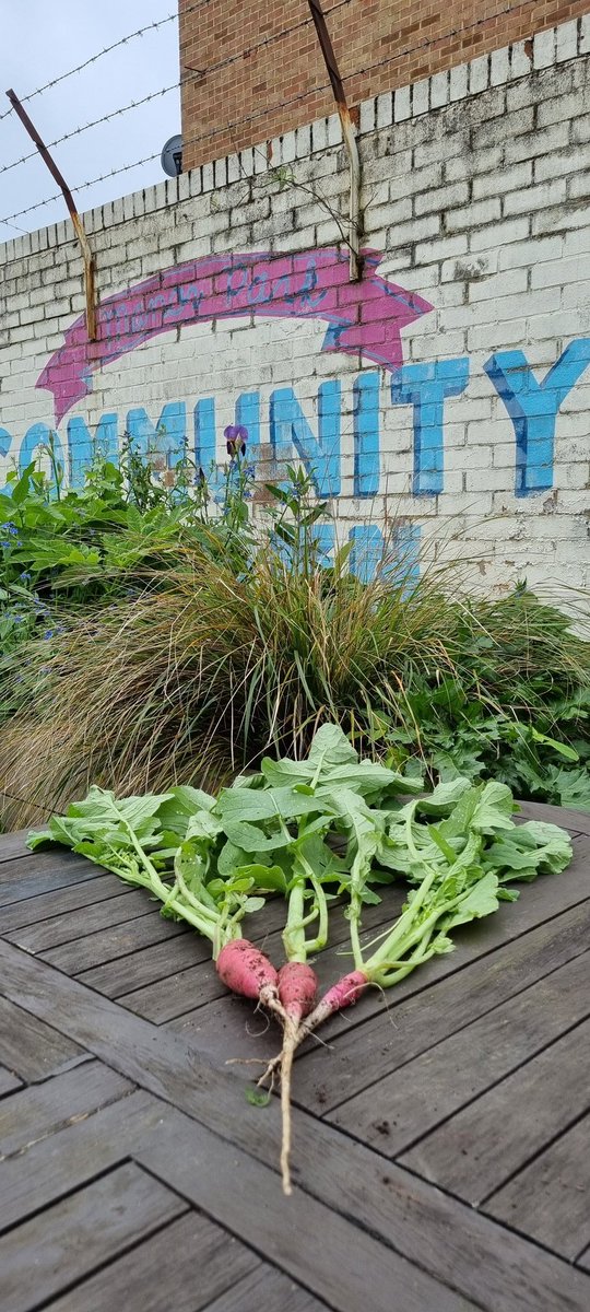 #Communitygarden today!
@MPComGarden 
Lavender, chives, sage, radishes,...
#ManorPark @NewhamLondon 
#Trees, #plants, #flowers, #vegetables,  #seedlings,... can be donated to the garden! #Volunteers are also welcomed too!
Originally funded by #peoplepoweredplaces!
Share the love!