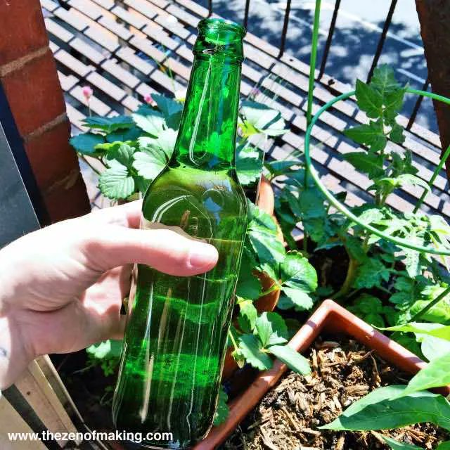 Como usar una botella de vidrio como sistema de regadío autónomo
agroalimentando.com/nota/2962