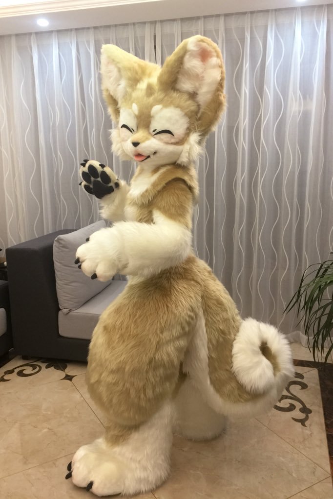 furryvalley's tweet photo. Good morning everyone! :3 #furry #FursuitFriday https://t.co/VJuk8Spicm