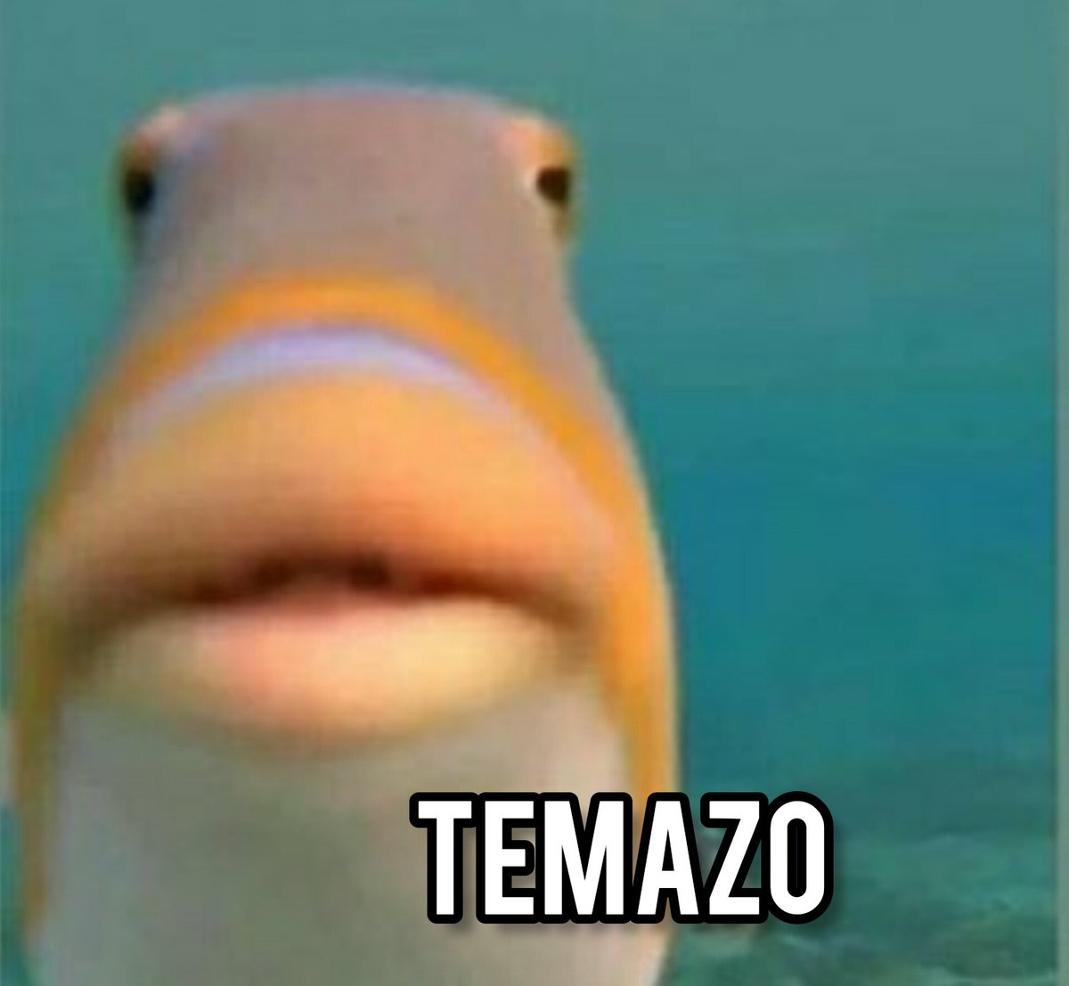 _deveritasss's tweet photo. *suena una canción que me gusta*
Yo: https://t.co/iVuacAvhzO