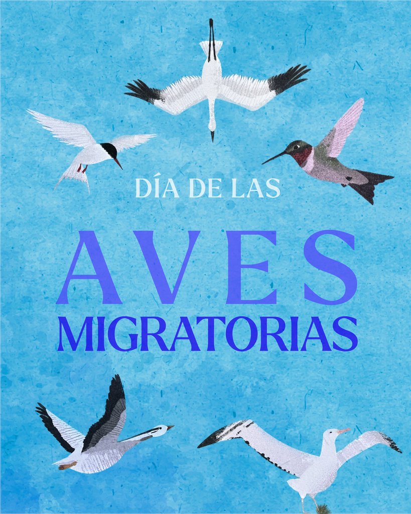 Editorial Amanuta tweet media