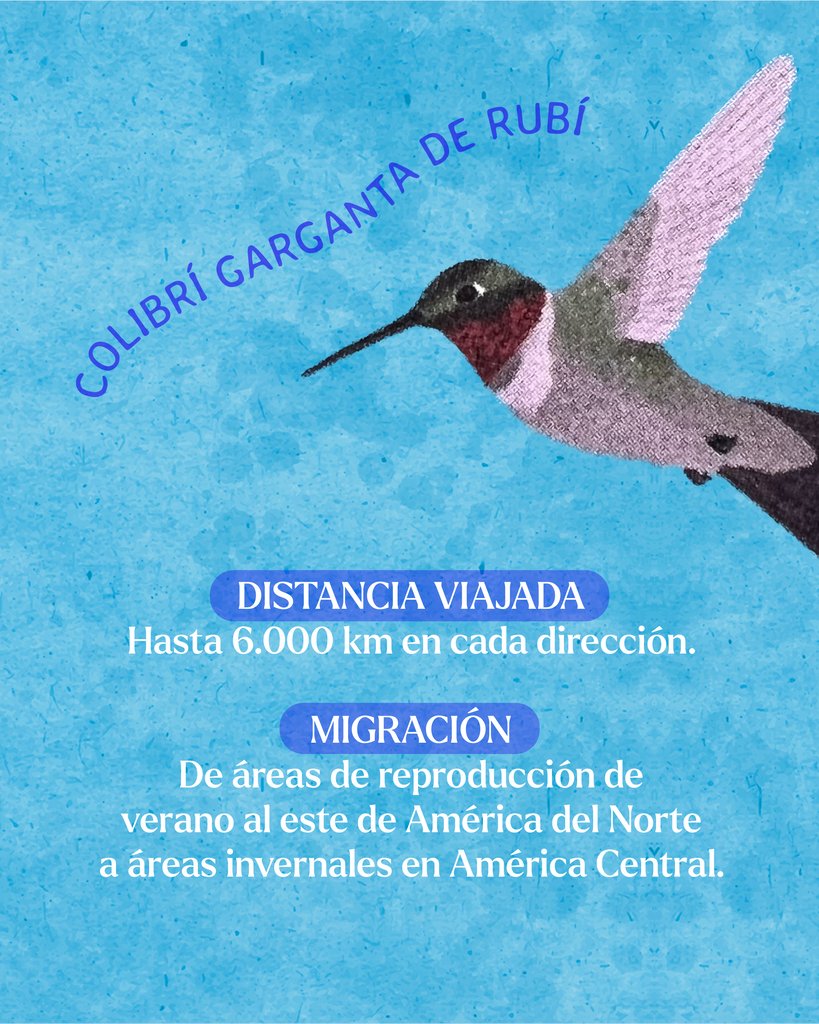 Editorial Amanuta tweet media