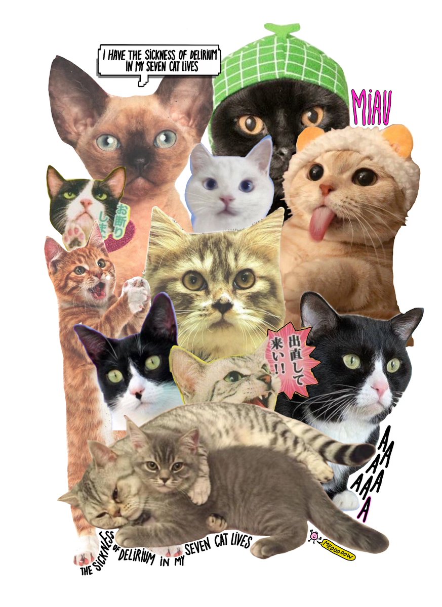 ♥ SICKNESS OF DELIRIUM ♥
3/5
0,45 tz
///// colección: gatitos

teia.art/objkt/821967