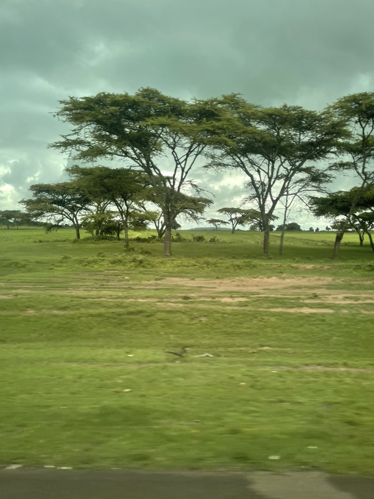 Sarah Sponcil tweet media