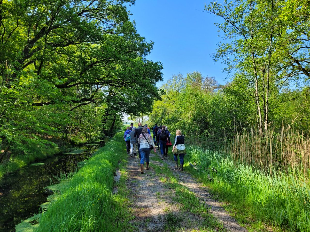 Dank je wel Marleen voor de fantastische excursie in de Schoolsteegbosjes vanochtend! @groenebelevenis ism St De Boom Leusden