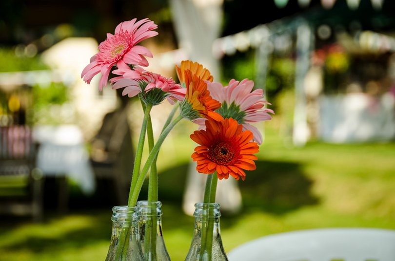 We're Pappin' a #vintage themed Care home resident's tea party next week...