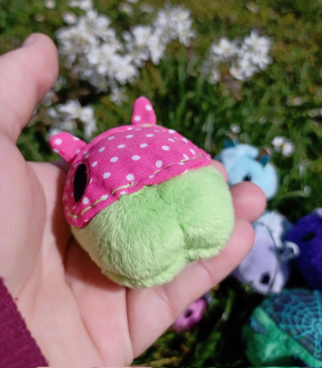 MrsBsInsects's tweet photo. .
Hello today I found this little nude butt snails 🐌🍑 Look this butt 🤗
.
#textileartist #insect #insectplush #artdoll #snail #snails #biginsect #plushartist #bigsnail #plushiart #snailplush #snailplushie #slug #slugplushie #nudesnails #bigslug https://t.co/3DcaDPiKY8