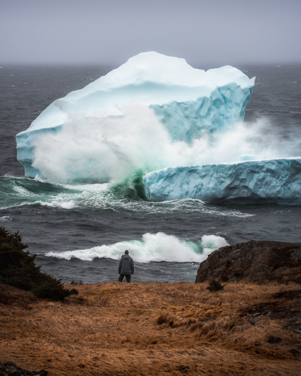 Gord Follett Photography tweet media