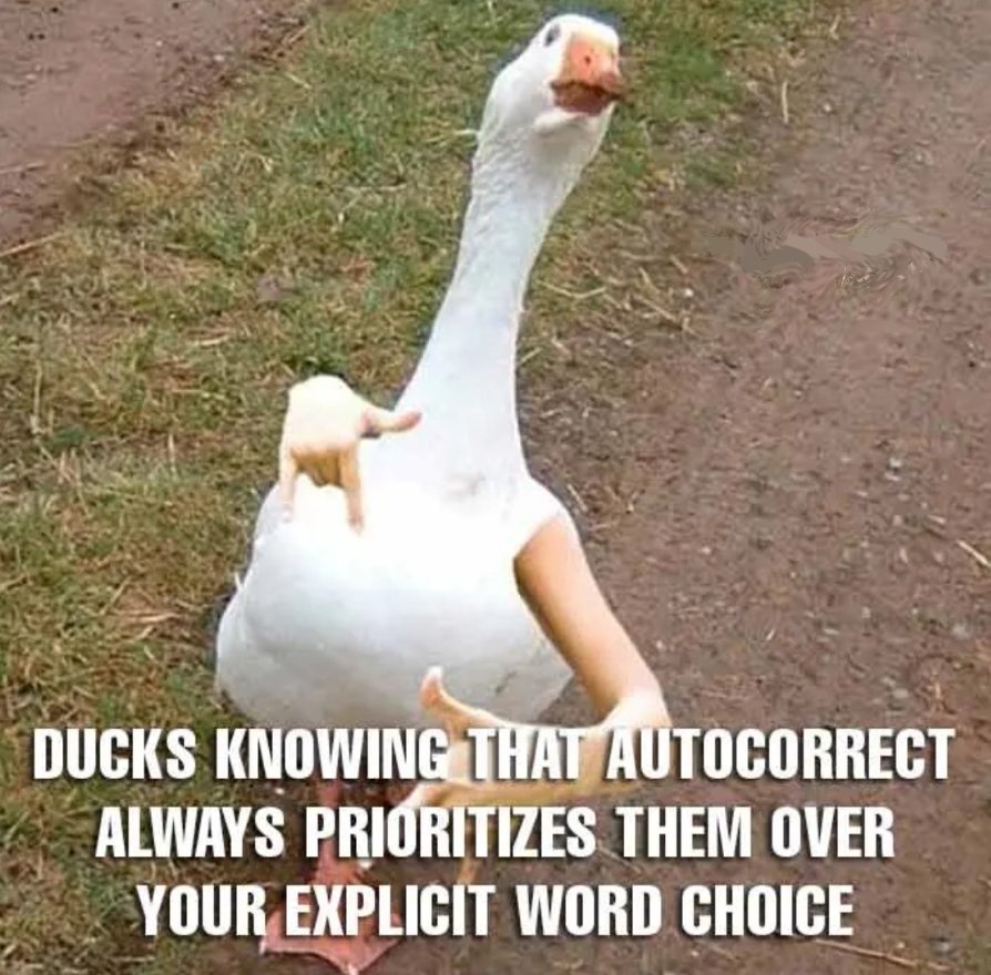 @SirrDuckk duck youu