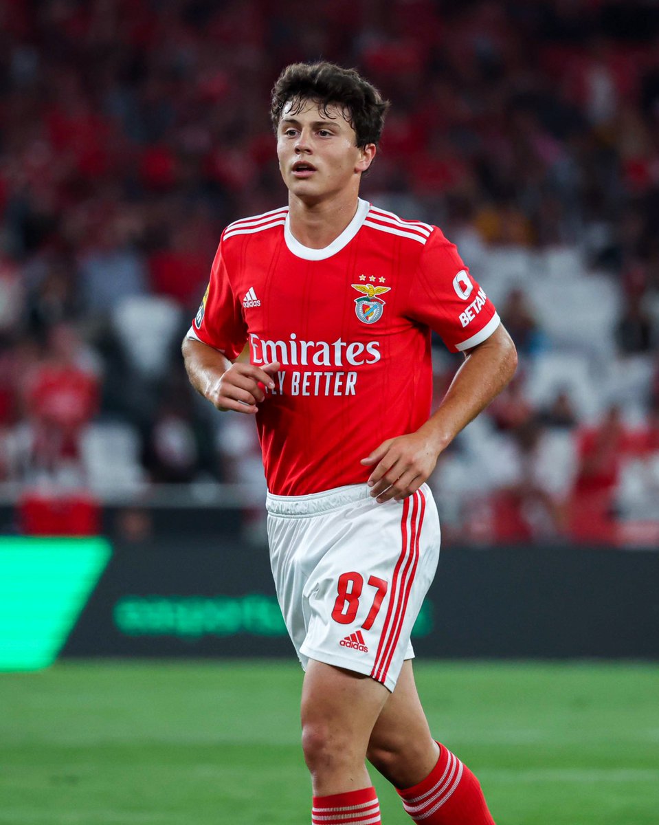 João Pedro Gonçalves Neves, you rock my world ✨
