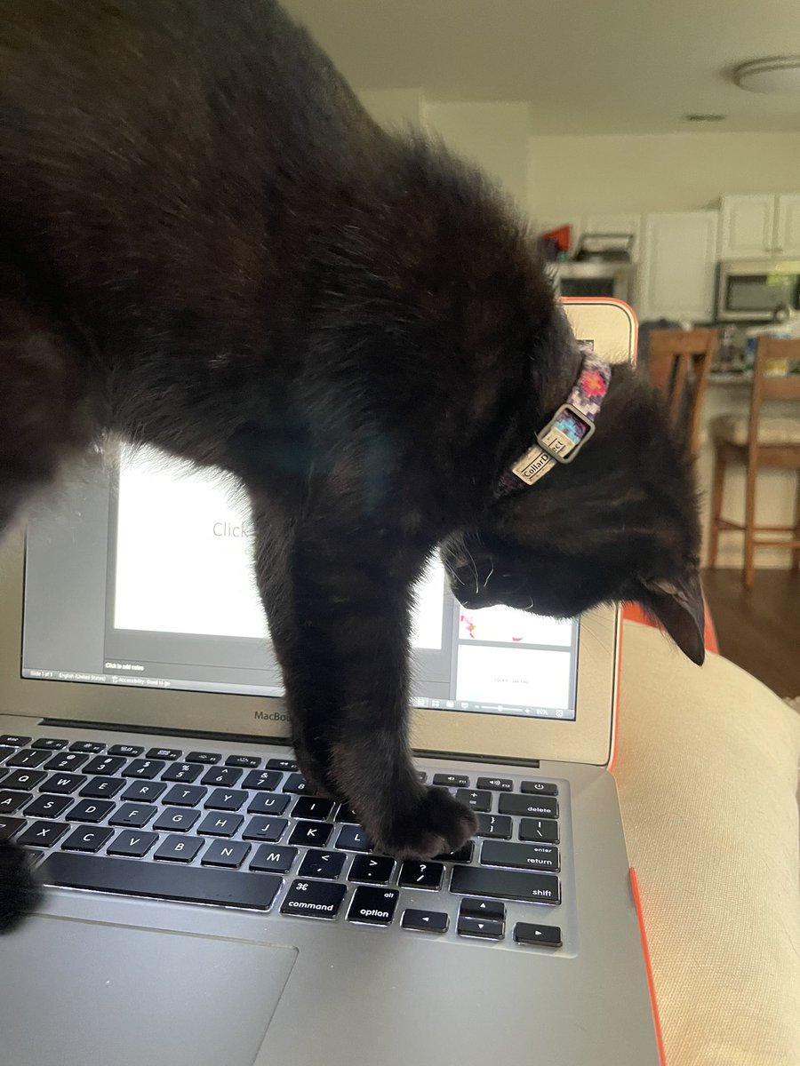 Ansley Scott (@drscottloading) on Twitter photo 