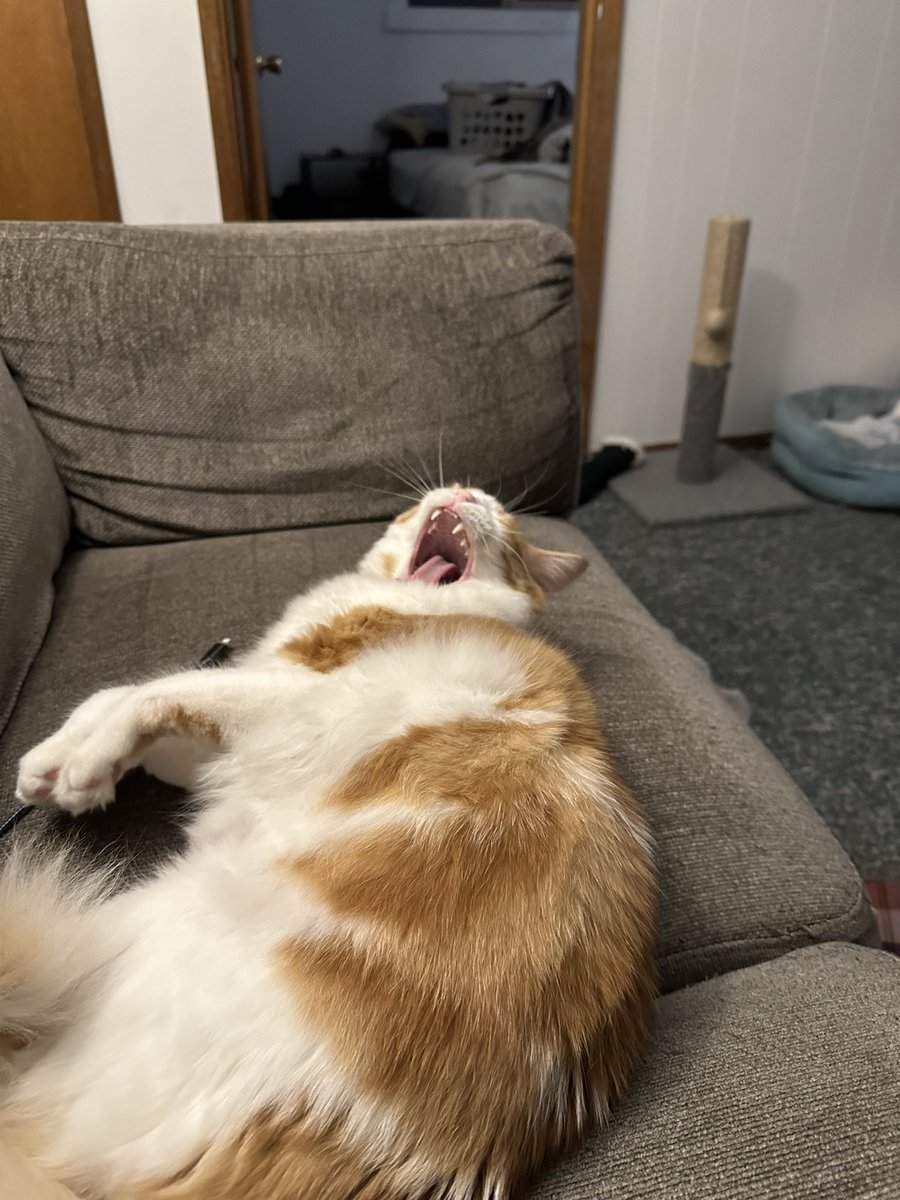 clebs0da's tweet image. my idiot son