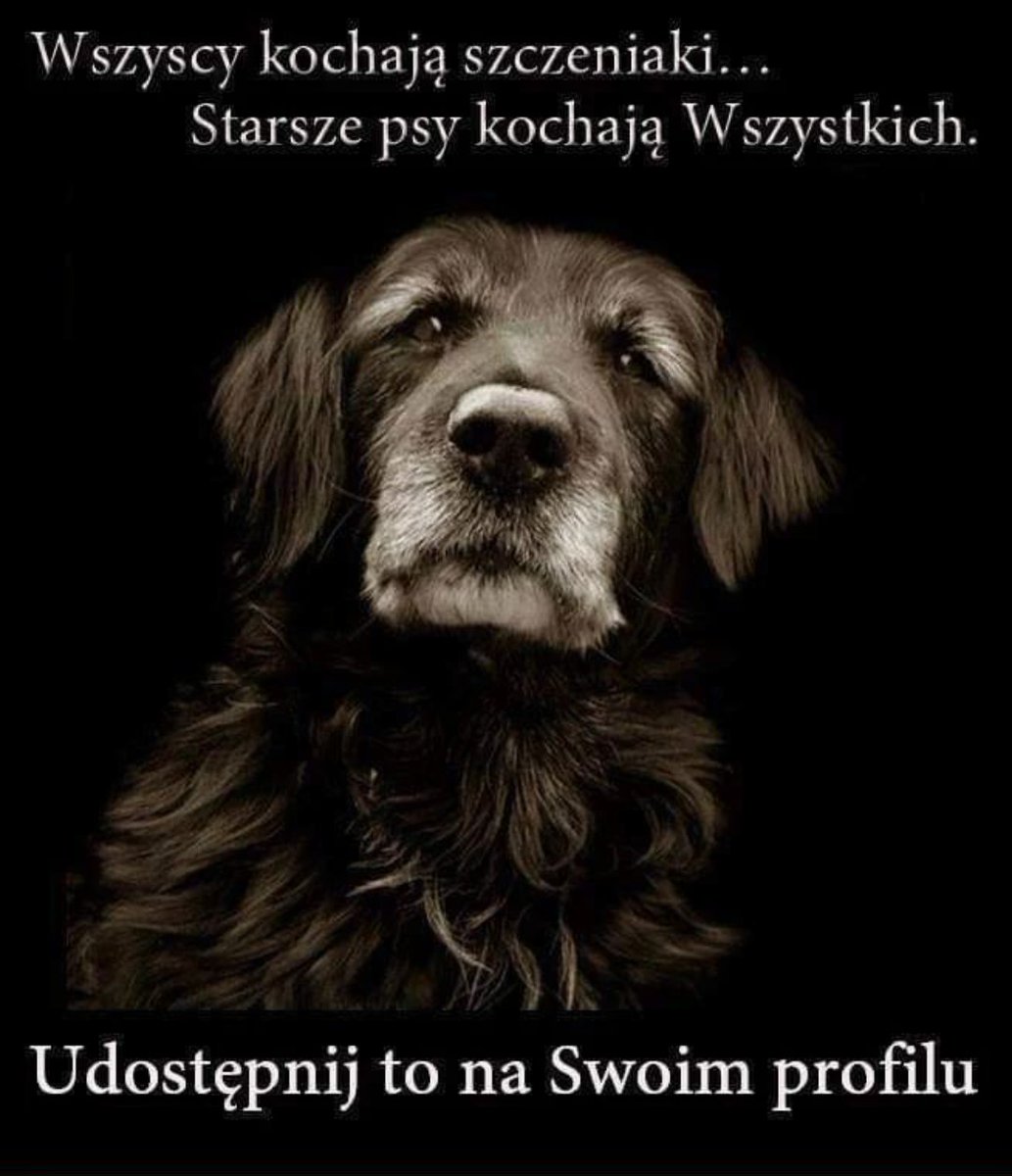 Rob Way001 (@robway001) on Twitter photo 