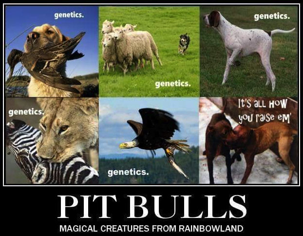 powerball44's tweet photo. @Raleighcaniac @conservmillen So tired of the endless ignorance. Learn some science FFS.
#GenesMatter https://t.co/OcXlfruHj0