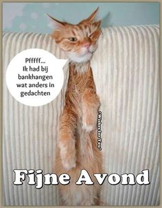 Christhel_MA's tweet photo. Lekker gedoucht nu koffie daarna een #rumcola en heerlijk bankhangen met een film. Fijne avond allemaal ❤😘
P.s. Heeft iemand nog een film/serietip voor mij? https://t.co/Lc8R1xvwMs