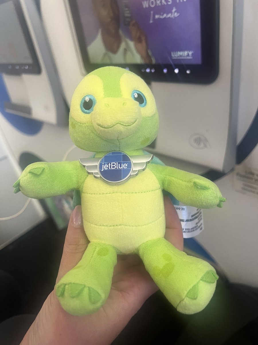 Manasaurus's tweet photo. Our turtle loves flying @JetBlue https://t.co/FOCtb07OtH