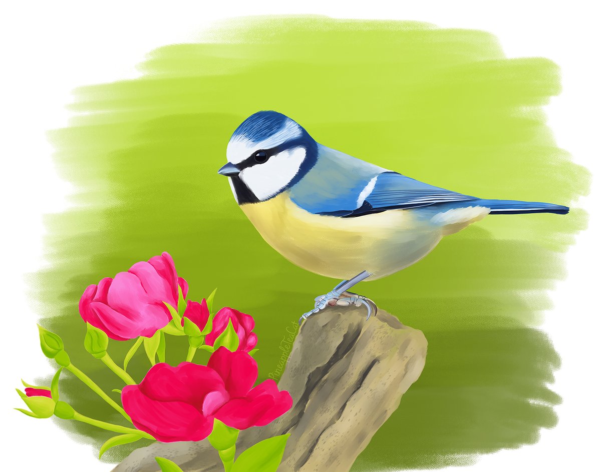 PineappleTeaCat's tweet photo. Blue Tit 
#art #birds #bird #birdart #bluetit #titbird #flowers #digitalart #digitalpainting #artist #artwork https://t.co/fDy86tlab3