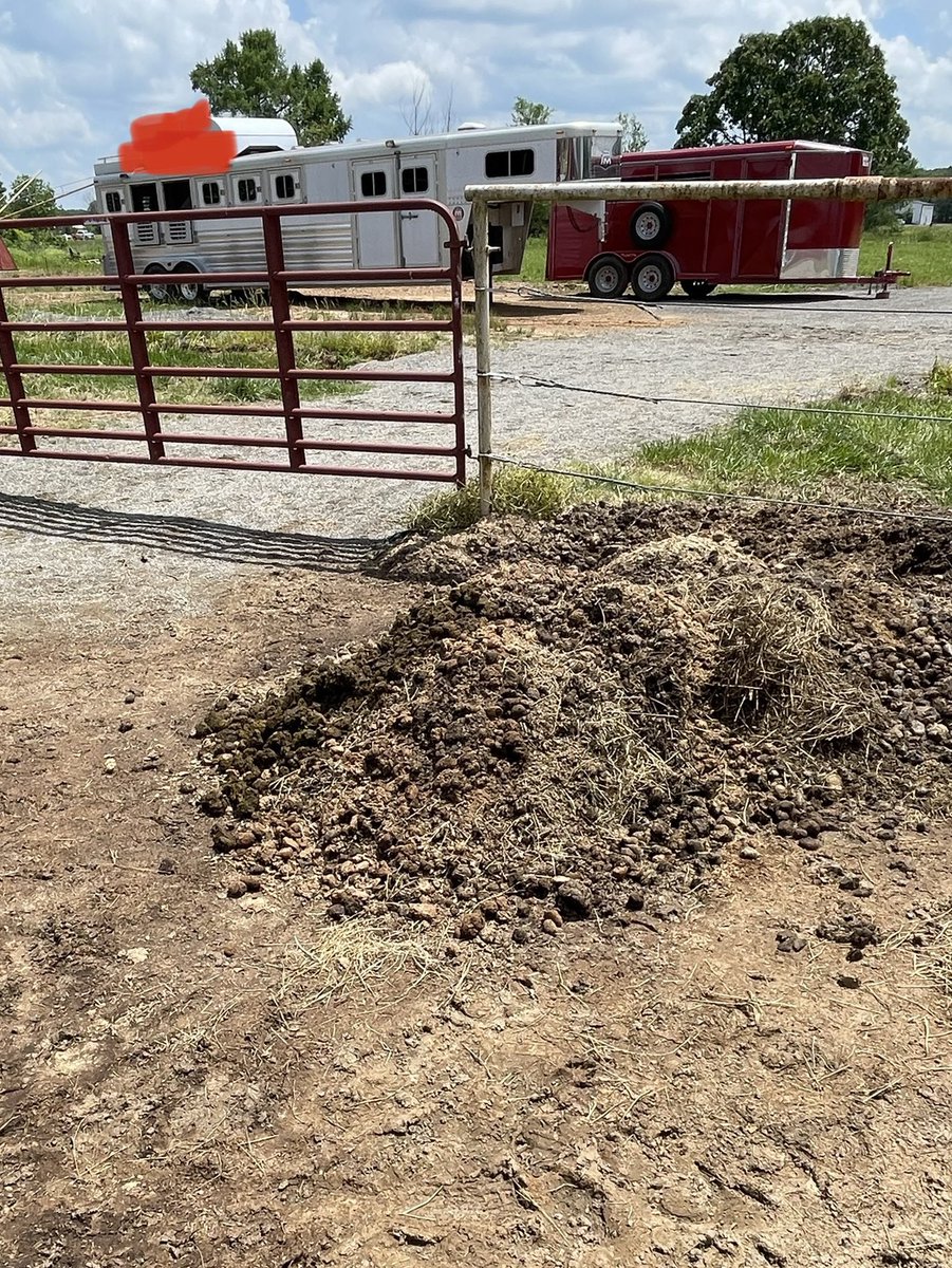 bigalNGAAM's tweet image. My Twitter is worth this much #DeepValue #HorseShit #FAFO #NGAAM