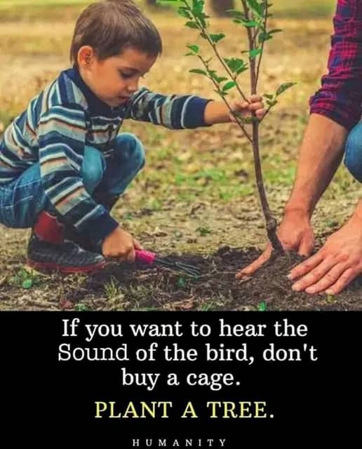 Plant a tree and have a nature with you. This father is showing the right path to follow, when we train young generations this life, no regret  of our efforts & #climatejustice #ClimateActionNow  #conserveenvironment #ClimateEmergency #FutureWithMoreCheers #Environmentalist