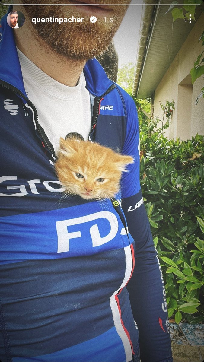 cyclingwhatifs's tweet photo. Oh wow new FDJ jersey now comes with a kitty holder 😻

📸 : @QuentinPacher IG https://t.co/e8jnI7phFq