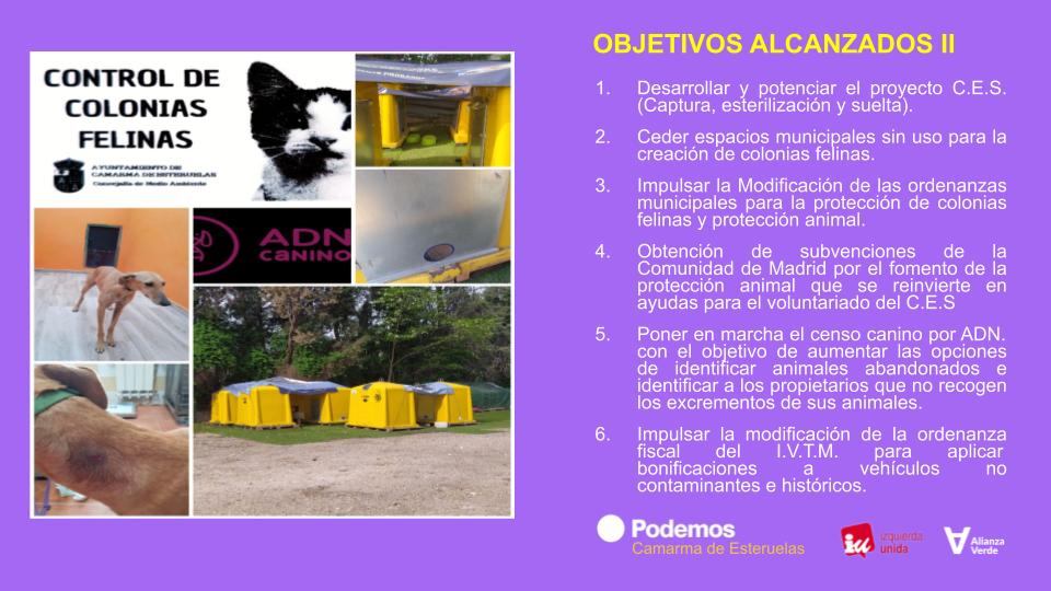podemoscamarma's tweet photo. La protección animal fundamental para nosotr@s
#ValentíaParaTransformar28M
#28M https://t.co/Iyow15YPEQ