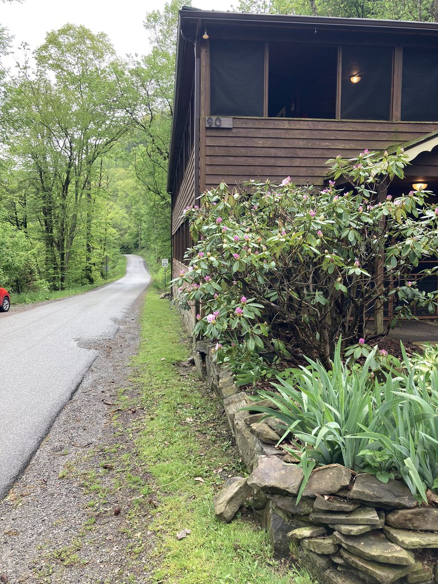 SGerot's tweet photo. @default_friend I’m literally there/here at Cheat River. 😂 https://t.co/F7mmn4n1EB