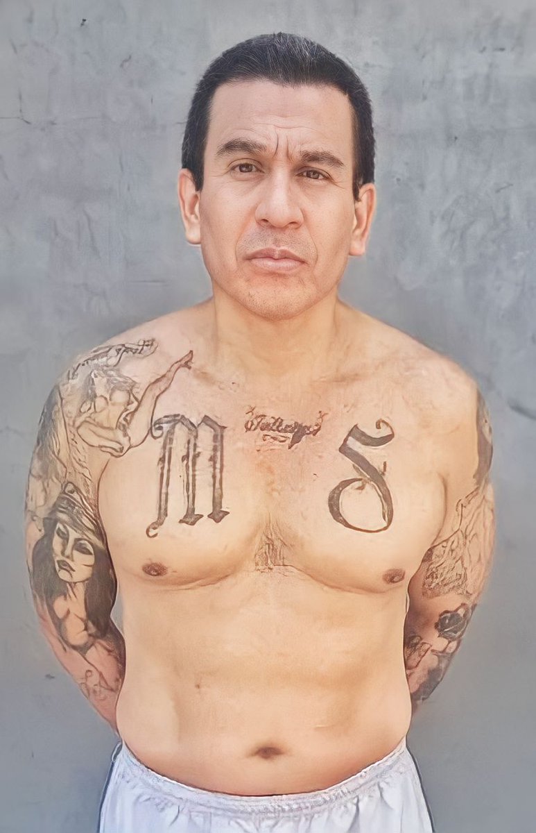 PNCSV's tweet photo. Por agrupaciones ilícitas, capturamos a Guillermo Antonio Varela Pérez, alias el Varón, corredor de programa de la clica San Cocos Locos Salvatruchos de la MS13, de San Antonio del Monte, Sonsonate. 

Este terrorista quedaría en libertad hoy del penal de Máxima Seguridad de Zacatecoluca por el delito de homicidio agravado. 

Su récord criminal comenzó desde 1998, cuenta con antecedentes por los delitos de homicidio agravado e intento de homicidio, tráfico de drogas y resistencia.  

Será enviado al #CECOT para que pague por todos sus crímenes.