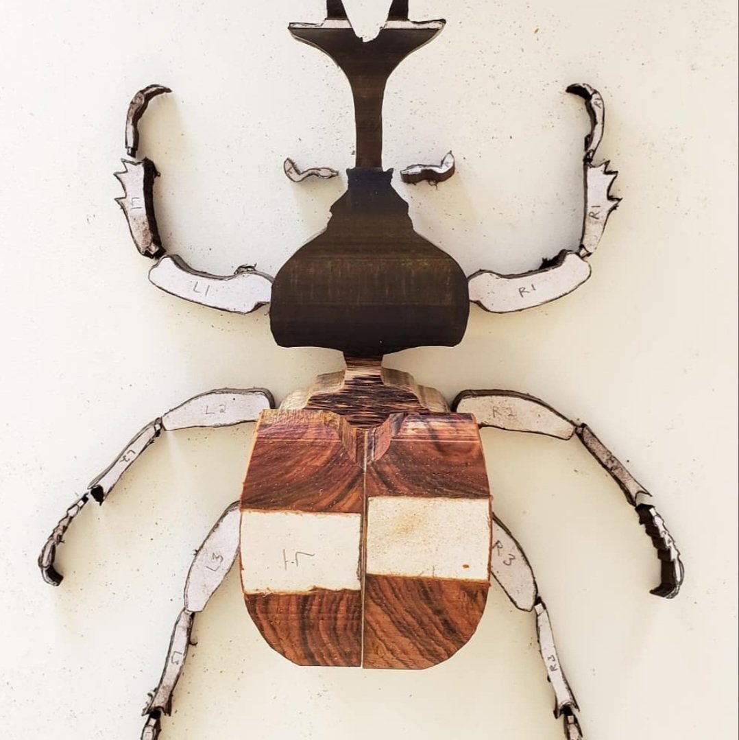 Bobby Duke 💨's tweet media