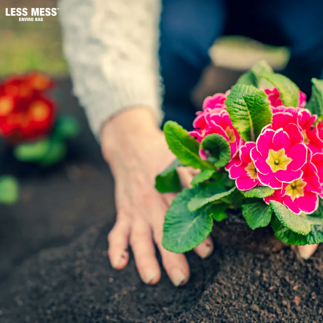 LessMessSoil's tweet photo. Read our latest blog to learn all about Gardening in Spring!
#lessmess #garden #spring #gardening #soil #compost #mulch https://t.co/CIhZ7YCxvu