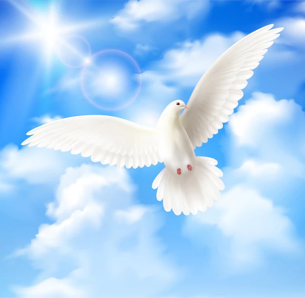 edufernandez16's tweet photo. Hoy toda España está contigo. Vamos White Dove!  #EurovisionRTVE https://t.co/ldL37sZIIn