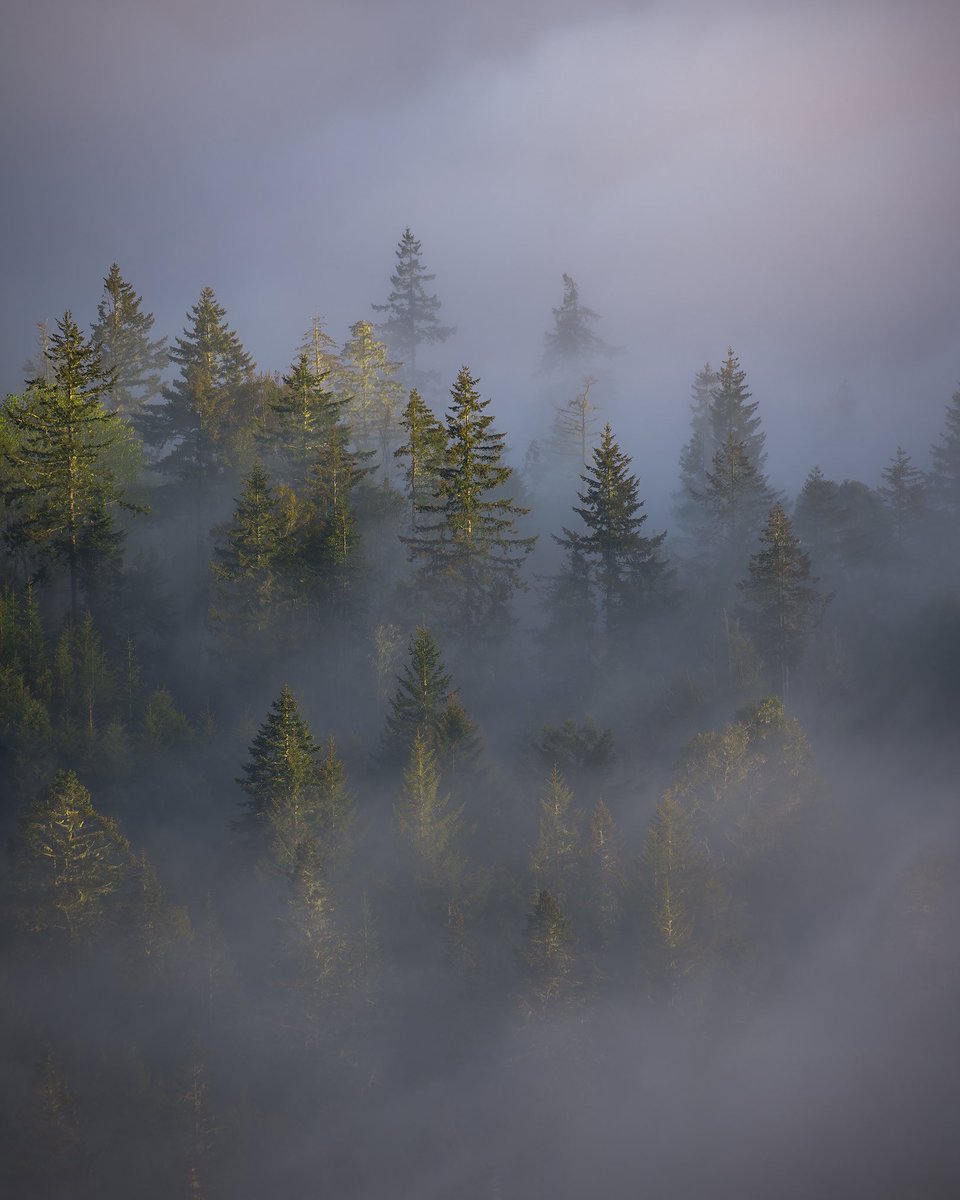 BobBowmanPhoto1's tweet photo. Northern California https://t.co/9H3pjZPE0x