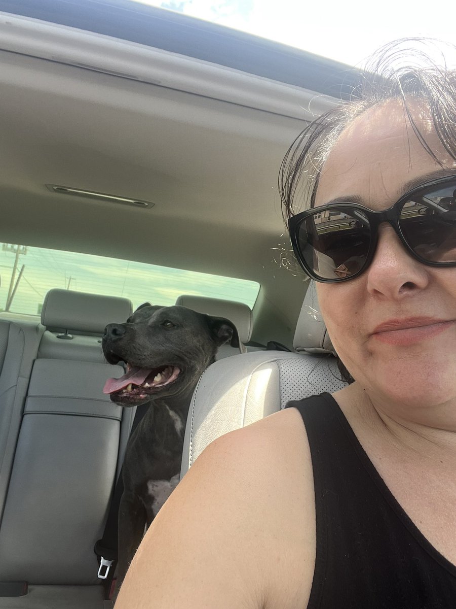Aimee Foster Thibodeaux tweet media