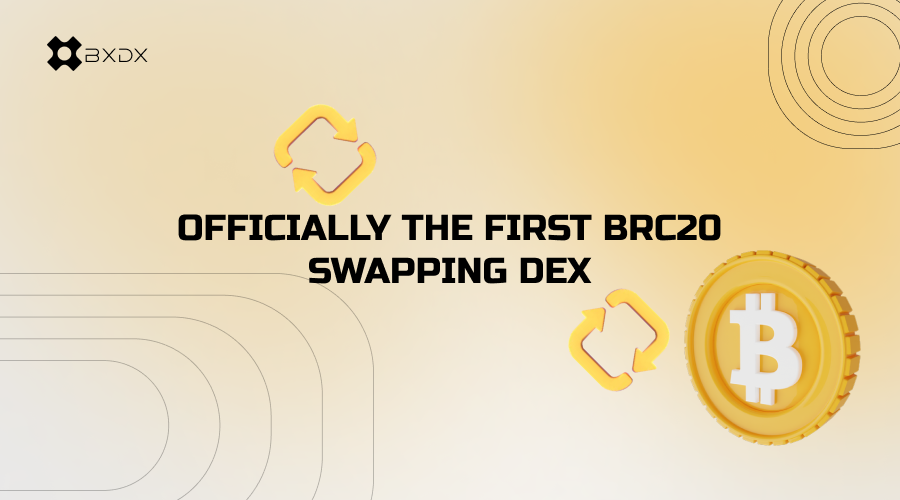 bitx2100's tweet image. Our Docs are live 🥳
Learn how @BitX_Brc20 works now!!!
docs.bxdx.io
#brc20 #ltc20 #drc20 #ordinals #bitcoin