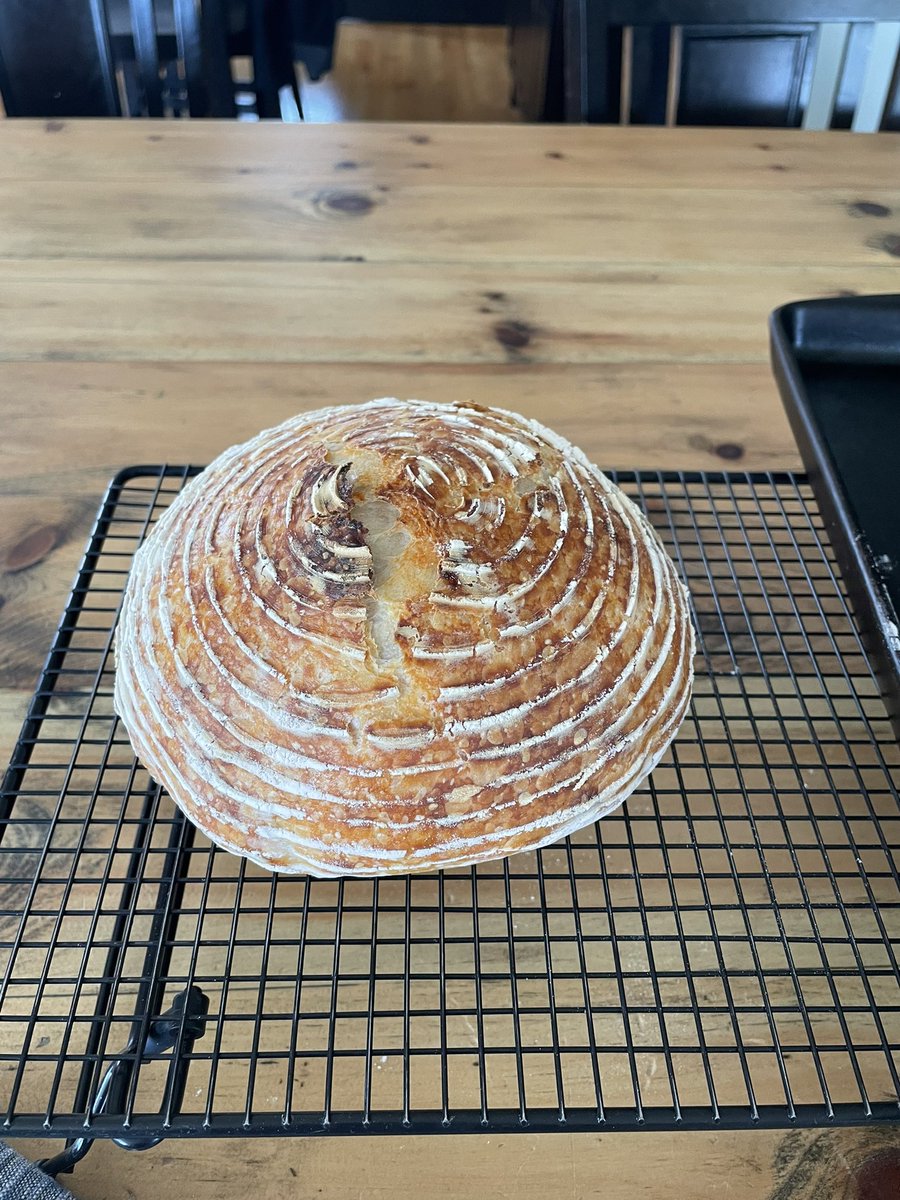 A humble brag, if I may.  My latest sourdough attempt: