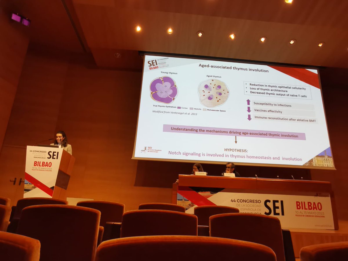 Last day of #SEI2023 congress <a href="/SEinmunologia/">SEInmunología</a> with <a href="/Biochemiss/">Carmela</a> talking about the role of #Notch signaling in #thymus homeostasis and #involution. Thank you for the space to share our latest data on this topic. It was a plesure to be part of this fantastic congress!