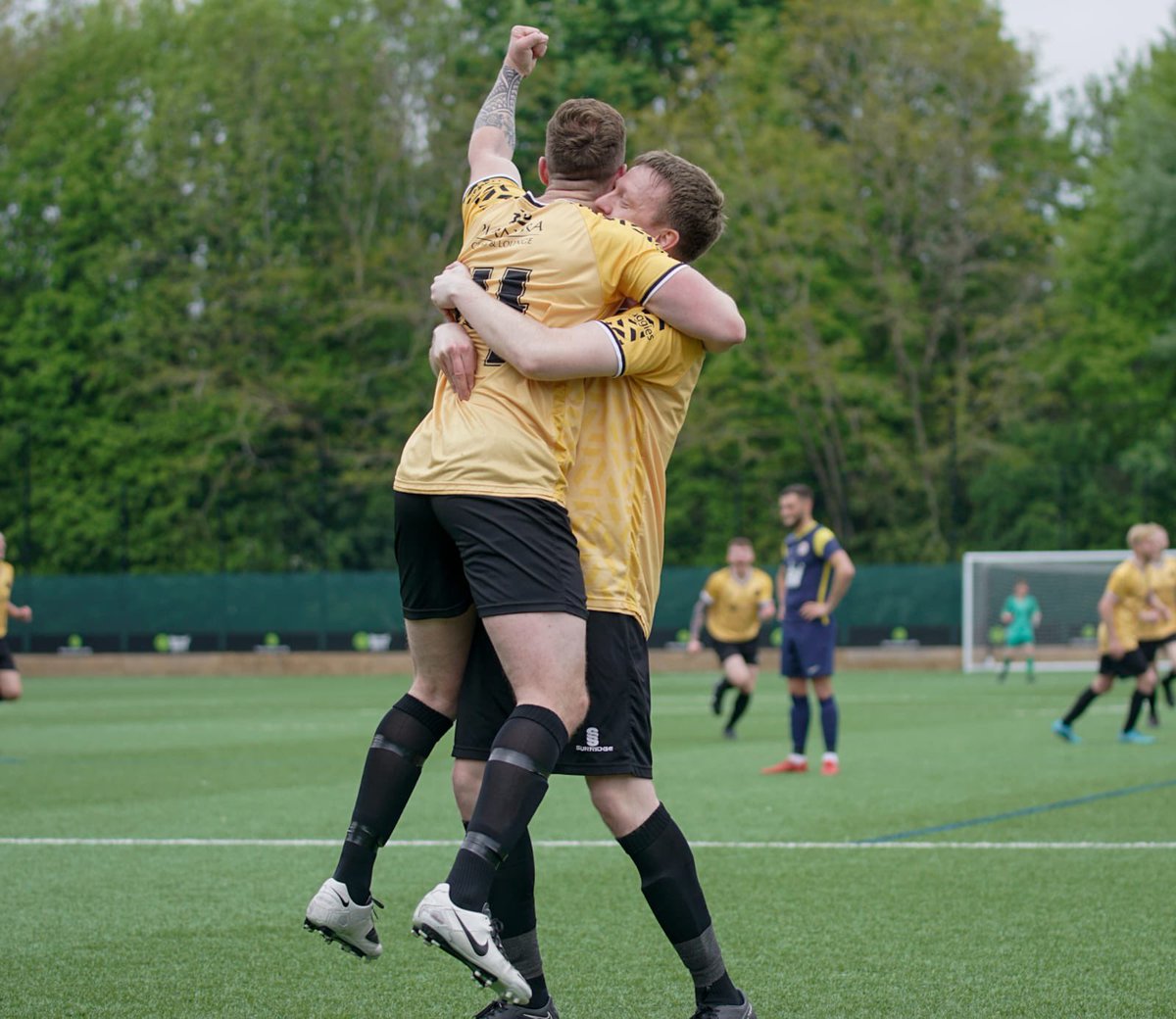 Norfolk FA County Cups tweet media