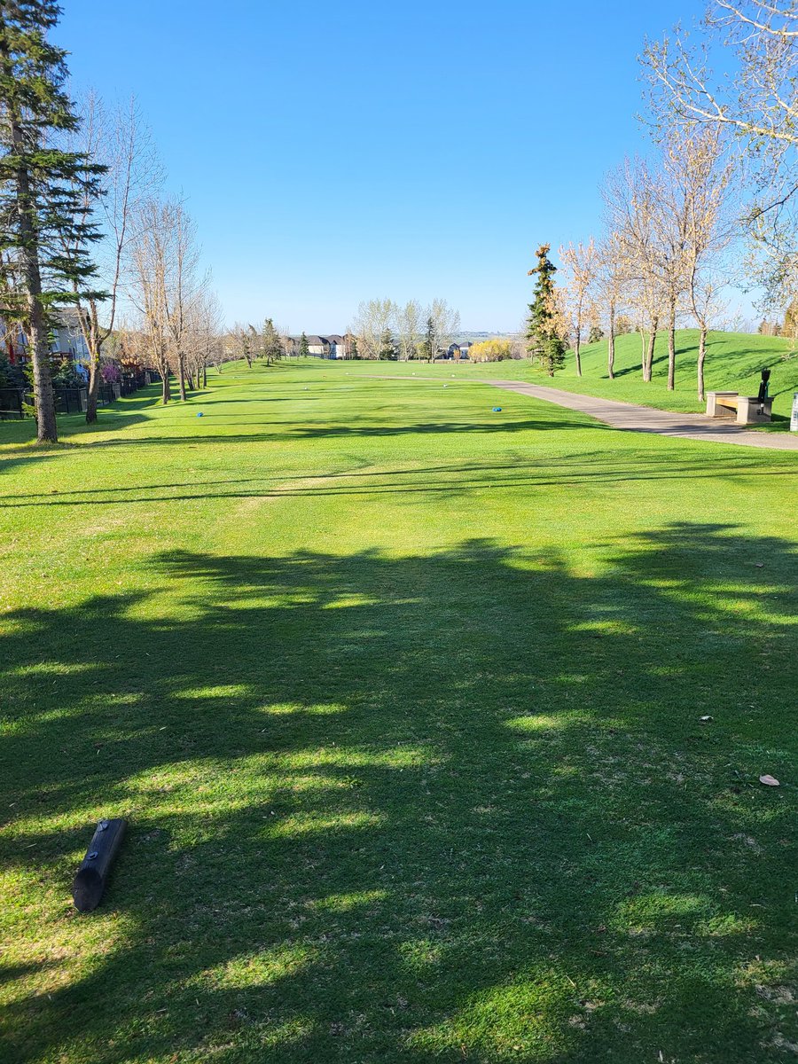 Dale Ekman tweet media