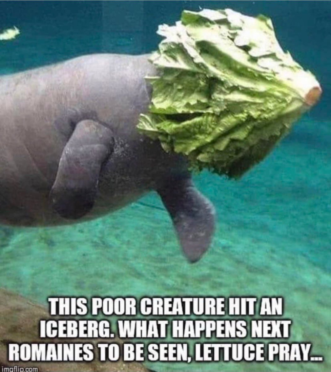 MidstateSTL's tweet photo. Actually green leaf but still funny. https://t.co/Pfz1JJXDHG
