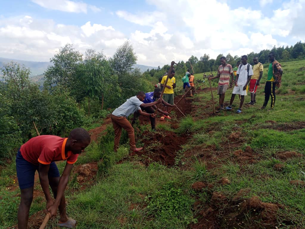 Musha Sector tweet media